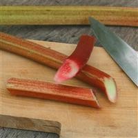 Rhubarb 'Victoria'