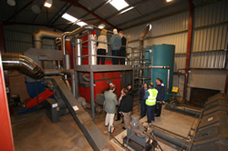 Biomass at Kernock Park Plants