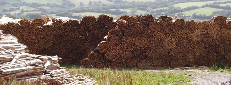 Biomass Image