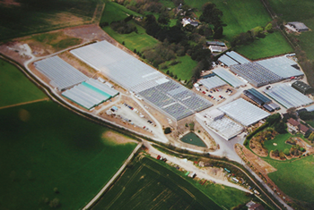 Kernock Park Plants Ltd