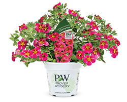 Branded Pots and Labels